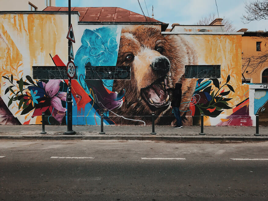 Realistic Bear Graffiti-Characters